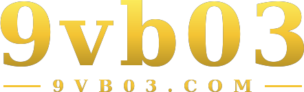 9vb03 logo